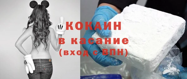 прущие грибы Нефтекумск
