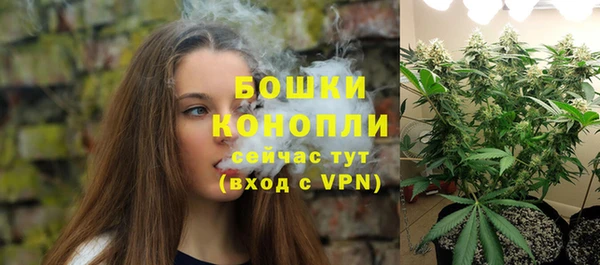 прущие грибы Нефтекумск