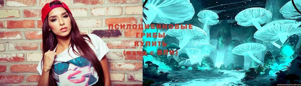 прущие грибы Нефтекумск
