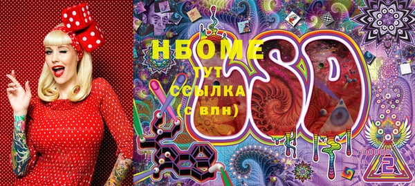 прущие грибы Нефтекумск