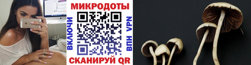 Галлюциногенные грибы прущие грибы как найти закладки Борисоглебск